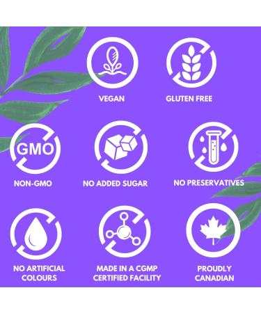 All Natural Premium Plant Protein | Vanilla | Protein Nutrition Simplified | (30 Servings 907 Grams) | 22g Protein* per serving | Low Carbs | Low Calorie | No added Sugar | Gluten Free | Dairy Free | Non-GMO | No Preservatives and No Artificial Colours |  - Buy Online on GoSupps.com