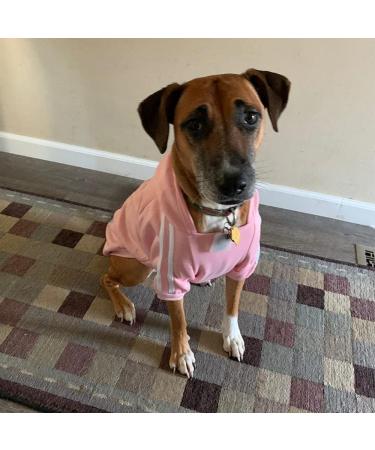 Eastlion Dog Sweater - Warm Red Puppy T-Shirt Pullover Coat | Size LL Pet Apparel - Shop Internationally - Buy Online on GoSupps.com