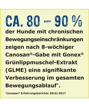 Boehringer Ingelheim CANOSAN 650g Concentrate for Dogs & Cats - Vet Approved Supplement | International Shipping Available - Buy Online on GoSupps.com