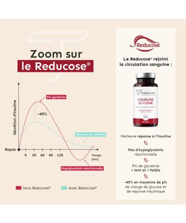 Glycemia Complex | CHROME + Reducose Patented Active + Cinnamon | Helps Maintain Normal Blood Glucose | Reduces Carbohydrate Assimilation by 40% | 60 Vegan Capsules | Made in France Terravita - Buy Online on GoSupps.com