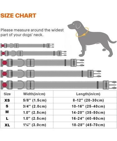 Buy Taglory Purple Dog Collar for Small Dogs - Soft Padded Neoprene Adjustable & Reflective | Ideal for Training | Fast International Shipping - Buy Online on GoSupps.com