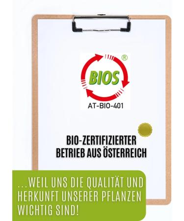 Buy Organic Motherwort Drops (Extract Essence Tincture) - Auwald | International Shipping Available - Buy Online on GoSupps.com