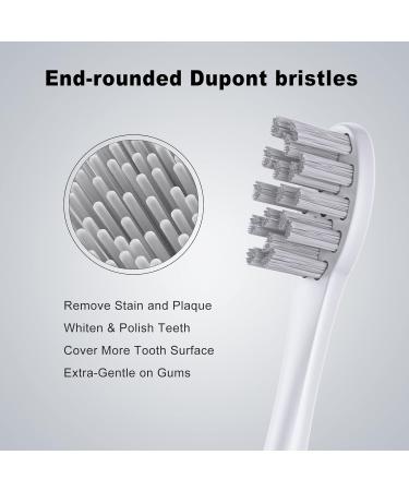 SARMOCARE Electric Toothbrush Replacement Heads - 6 Pack Soft Brush Heads (White) - Buy Online on GoSupps.com