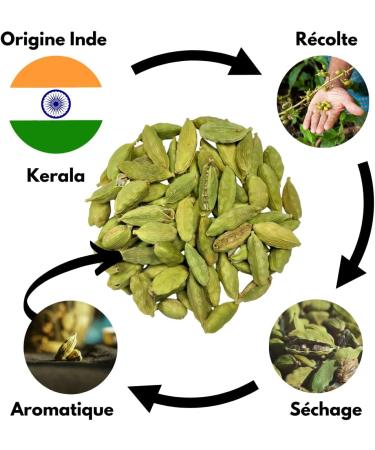 Cardamom - 100g - whole - fresh and fragrant Culinary uses in infusion roasting and cooking - Spice blends - Buy Online on GoSupps.com