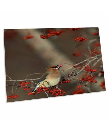3dRose Cedar Waxwing Eating Hawthorn Berry Sangomon Co - Desk Pad Place Mats (dpd-250922-1)