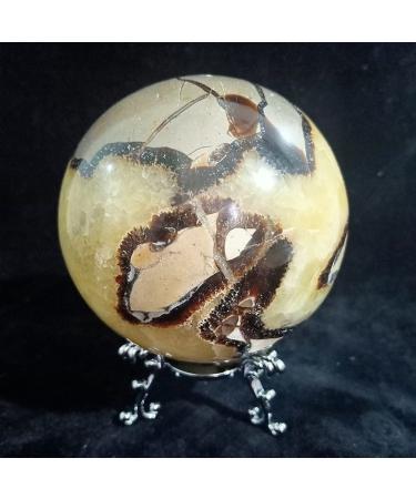 Natural Septarian Dragon Crystal Gem Geode Specimens