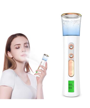 Nano Facial Mister  Double Nozzle Cool Mist Nano Facial Misting Device with Skin Analyzer  Portable USB Rechargeable Facial Sprayer for Eyelash Extensions  Face Moisturizing  Skin Care