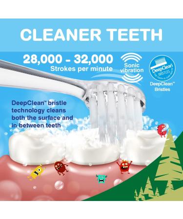 Brush-Baby WildOnes Kids Electric Bear Toothbrush | Rechargeable, 3 Brush Heads, USB Charging Cable | Ages 0-10 - Buy Online on GoSupps.com