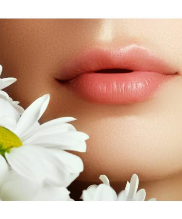 Watermelon Fruity Lip Balms - Natural lip balm moisturising lip care and protection for dry chapped lips - Barnaby skincare (Watermelon) - Buy Online on GoSupps.com