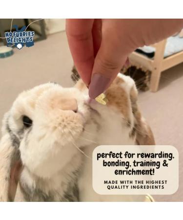 No Furries Delights Treats 100% All Natural Mini Bites for Rabbit Hamster Guinea Pig Chinchilla Pet Rat Mice Gerbil Bird Healthy Enrichment Bonding Rewarding Training (Mixed Green Bites 50g) - Buy Online on GoSupps.com