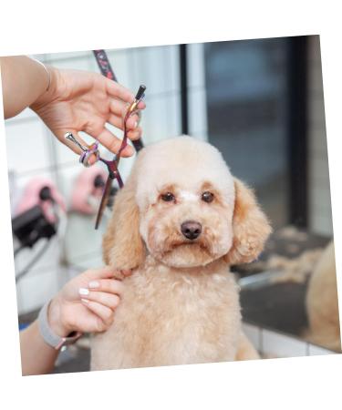 Buy Beaupretty 18 Pieces Decorative Scissors for Pets | Removable Finger Support & Claw Shears | International Shipping Available - Buy Online on GoSupps.com