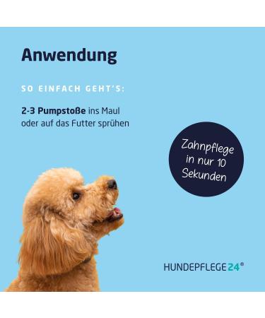Dog Care24 Dental Spray for Dogs & Cats | Healthy Teeth & Fresh Breath | Natural Ingredients (150ml) - Buy Online on GoSupps.com