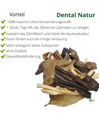 OGF Dental Hygiene for Dogs - 100% Natural - Teeth Brushing Aid - Natural Treats OGF (S) - Buy Online on GoSupps.com