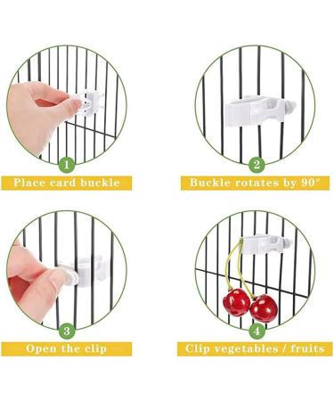 4 PCS Bird Fruit Feeder Cuttlefish Clip Bird Cage Seed Feeder Birds Food Holder Stainless Steel Bird Feeder for Bird Hamster Cockatiel Parrot - Buy Online on GoSupps.com