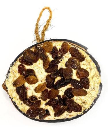 90 Chubby Half Filled Coconuts - Raisins Wild Bird Food - Buy Online on GoSupps.com