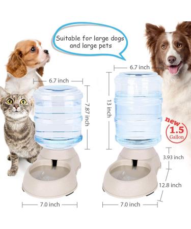Automatic Cat Water Dispenser & Food Mat - 1.5 Gallon Capacity (Grey) | For Small to Medium Pets - Buy Online on GoSupps.com