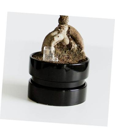 HANABASS 4pcs Pet Water Feeder Ants Water Drinking Bowl Ants Drinking Tool Insect Feeder Ants Feeder Plastic - Buy Online on GoSupps.com