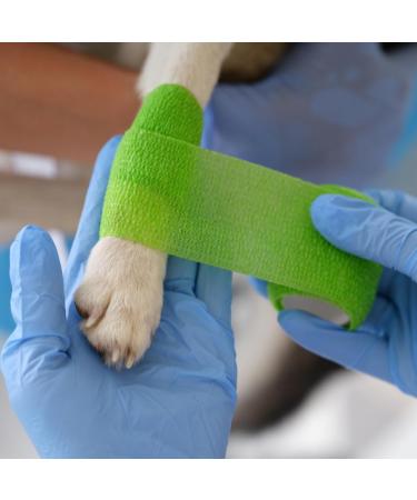 Efuturime 16 Self-Adhesive Bandage | 10cm 5cm 2.5cm 4.5m | Colorful Elastic Fixing Bandage for Sports & Pets - Model L 16PCS-L - Buy Online on GoSupps.com
