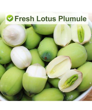 Buy Plantgift Lotus Plumule 100g | Healing Chinese Herb for Health Benefits | Dried Lotus Core & Tea - Buy Online on GoSupps.com