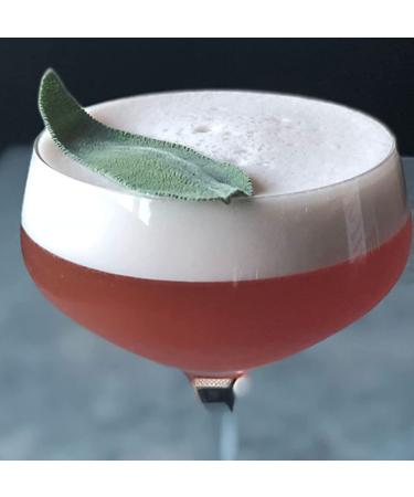 Fee Brothers Fee Foam Cocktail Foamer - 5 oz: Elevate Your Cocktails with Perfect Foam - Buy Online on GoSupps.com