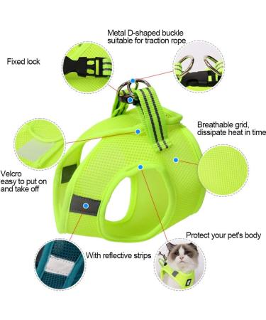 Buy Cat Harness & Leash Set | Cat Dishes for Small Cats | Outdoor Walking Accessories - Buy Online on GoSupps.com