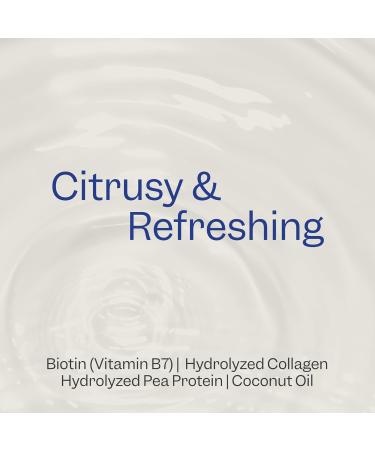 Renpure Biotin & Collagen Thickening Shampoo & Conditioner Set - 24oz | Nourish & Strengthen Hair - International Shipping Available - Buy Online on GoSupps.com