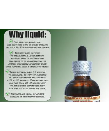 Hawaii Pharm Wild Lettuce (Lactuca Virosa) Liquid Extract Organic Wild Lettuce Dried Herb Tincture Herbal Supplement Made in USA 2 fl. oz Alcohol-Based Extract 2 Fl Oz (Pack of 1) - Buy Online on GoSupps.com