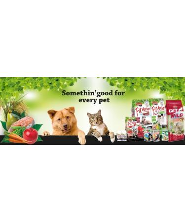 Panzi FitActive - Hypoallergenic Wet Food for Adult Dogs with Sensitive Intestines and Stomachs - Beef and Lamb - 10 x 415g - Buy Online on GoSupps.com