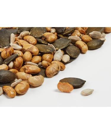 Landgarten Protein-Rich Snack Mix | Roasted & Salted Soybeans Sunflower & Pumpkin Seeds | 50g | Healthy International Shipping - Buy Online on GoSupps.com