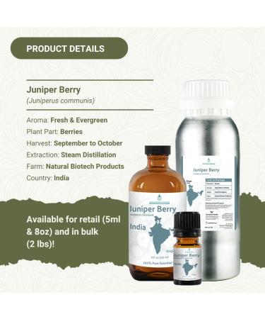 Juniper Berry Essential Oil with Cleansing & Uplifting Properties 100% Pure Therapeutic Grade Juniper Essential Oil (Aceite Esencial de Enebro) for Aromatherapy & Relaxation 5mL Juniper Berry 0.17 Fl Oz (Pack of 1) - Buy Online on GoSupps.com