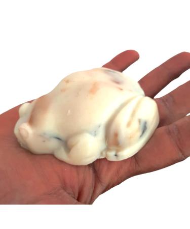 Timothy Frog Soap - Vegan Cedar Wood & Sandalwood Bath Soap | Natural Shea Butter 3.5oz - WFG Waterfall Glen Soap Co - Buy Online on GoSupps.com