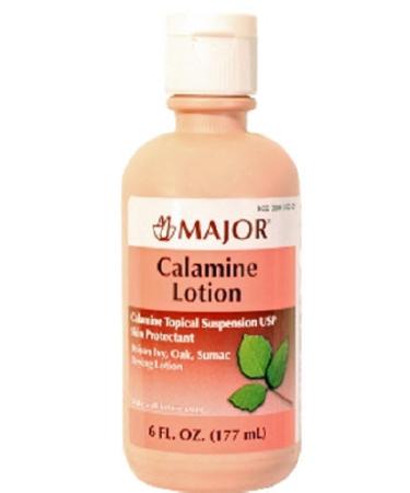 Major Calamine - Itch Relief - 8% / 8% Strength - Lotion - 177 mL Bottle-McK
