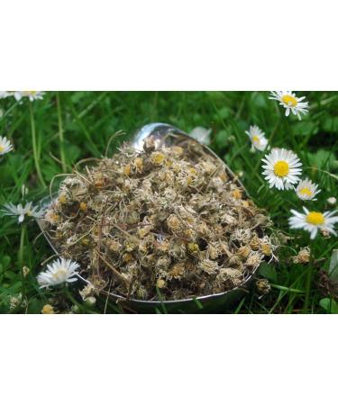 Krauterino24 Krauterino24 - Complete Daisy Quantity: 100g