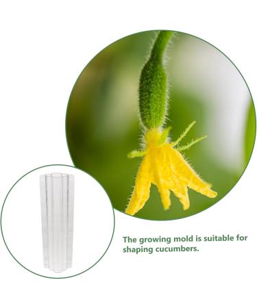 Yardwe 8 Pcs Vegetable Shaping Mold Fruit Vegetable Shaper Mold Garden Cucumber Mold Watermelon Suite - Buy Online on GoSupps.com