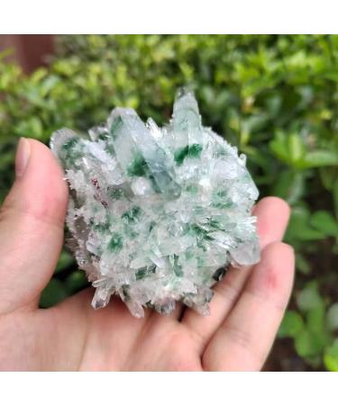 Natural Crystal Rough 1pc Natural Green Phantom Quartz Crystal Cluster Stone Ornaments 300G-900G for (Color : 1pc810g-900g Size : 1PC) 1PC 1pc810g-900g - Buy Online on GoSupps.com
