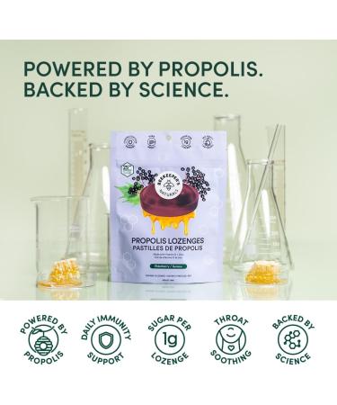 Soothing Honey Elderberry Cough Drops by Beekeeper's Naturals - Immune Support with Vitamin D Zinc and Propolis Throat Soothing Lozenges 14 Ct(2PACK) Elderberry 14 count (Pack of 2) - Buy Online on GoSupps.com