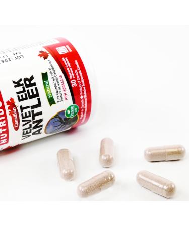 Nutridom Velvet Elk Antler 500 mg 100% Canadian Freeze-Dried Non-GMO NO Additives Gluten Free Made in Canada (30 Veggie capsules) - Buy Online on GoSupps.com
