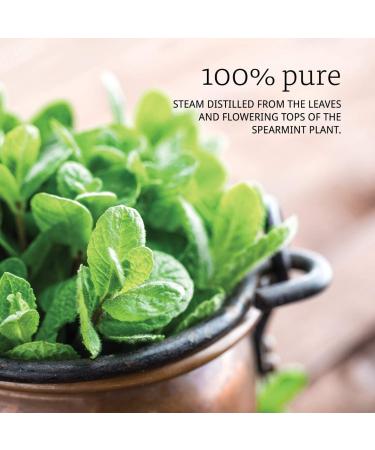 Now Foods Spearmint Essential Oil 1 fl oz | 100% Pure Aromatherapy - Buy Online on GoSupps.com