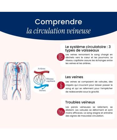 Laboratoire NaturAvignon Veinonat Tablets | Venous Circulation & Heavy Legs | Horse Chestnut + Grape Seed + Fragon + Melilot | Active Proven Effectiveness | 60 Tablets (30 Days) - Buy Online on GoSupps.com