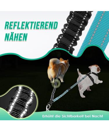 Buy NASJAC Double Dog Leash - No Tangle 360 Rotatable Adjustable Bungee Reflective Leash for Small Medium & Large Dogs - 2-Color Black & Aquamarine - Buy Online on GoSupps.com