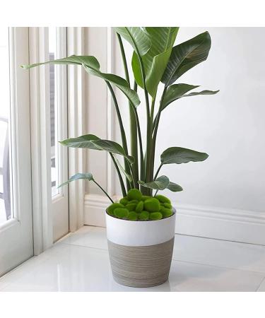 CCINEE 34pcs Artificial Moss Rocks - Perfect for Floral Arrangements, Fairy Gardens, and Crafting - Buy Online on GoSupps.com