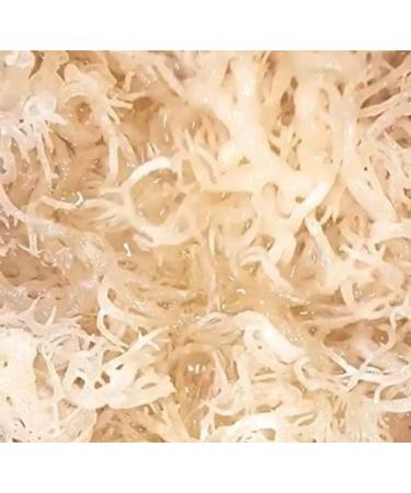 Organic Irish Sea Moss Capsules - 60 Vegan Capsules | GMO Free | Gordon Watkins Botanical Blend - Buy Online on GoSupps.com