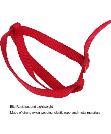 Cyrank Adjustable Bird Dishes & Leash for Outdoor Training - Perfect for Nymphensittich Alexandriner & Scarlet Red Birds - Shop Now! - Buy Online on GoSupps.com