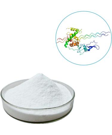 Collagen Type III Powder - 98% Pure Active Protein for Skin Firmness & Repair | Shop Now - Buy Online on GoSupps.com