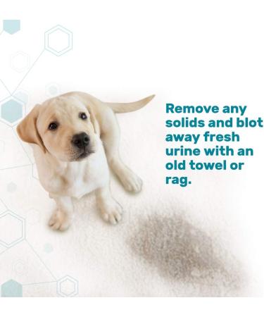 Dr. Mercola Pet Stain and Odor Remover 24 FL oz - Safe for Pets & Children | International Shipping Available - Buy Online on GoSupps.com