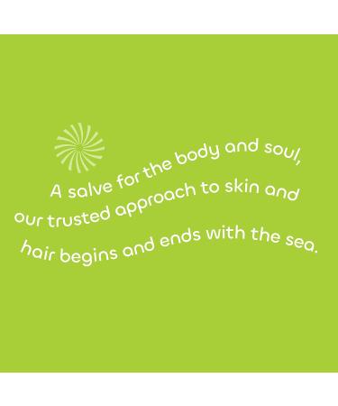 Seaweed Bath Co. Gloss Shampoo - Sea Salt Bergamot 12oz - Sustainably Harvested Seaweed & Awapuhi for All Hair Types - Buy Online on GoSupps.com
