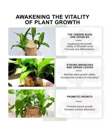 Brazilian Wood Plant Food Lucky Bamboo Liquid Fertilizer Lucky Brazilian Wood Houseplant Fertilizer Brazilian Wood Flowering Special Nutrient Solution (1pcs) - Buy Online on GoSupps.com