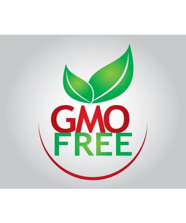 Seitan Wheat Protein 1KG - Vegan & Vegetarian Gluten | High-Protein Meat Alternative - Buy Online on GoSupps.com