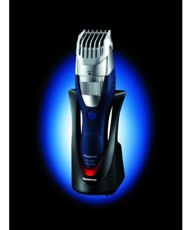 Panasonic Wet and Dry Hair and Beard Trimmer - Silver | International Shipping Available - Buy Online on GoSupps.com