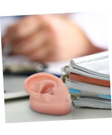 Beavorty 3 Pcs Human Ear Model Set | Silicone Ear Models for Studs | Simulation Piercing Ear Display Prop 6.5x3.5cm (Coffee, 3pcs) - Buy Online on GoSupps.com